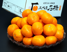 五代目石橋『蔵入り 大玉ハウスみかん』佐賀県産 2〜5L 約5kg 産地箱 風袋込 ※常温　