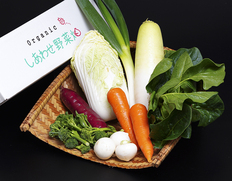 「於愛の方」ふるさと『オーガニック野菜セット（Sサイズ）』静岡県掛川市産 旬の有機野菜6〜8袋 ※冷蔵