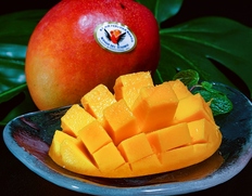 ペルー産 ケント種マンゴー『インカの秘宝 MANGO DEL TESORO』2玉 計約900g 空輸 簡易箱 ※常温
