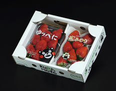 熊本いちご食べ比べ『恋みのり＆ゆうべに』熊本県産いちご 約250g入り各1パック 計2パック 産地箱 ※冷蔵