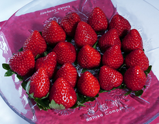 『完熟 古都華』奈良県産いちご 約270g(8〜11粒)×2パック 産地箱 ※冷蔵 古都華カンパニー