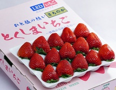 竹内農園 LEDいちご『とくしまいちご（品種 さちのか）』徳島県産 2パック 計約1.1kg （1パック 15〜18粒）産地箱 ※冷蔵