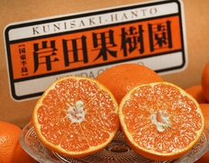 【正規品】岸田果樹園 「はるみ」 大分県産 3L〜S 約3kg （目安：11〜24玉）※常温