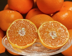 【多少のキズ有品】岸田果樹園 「はるみ」 大分県産 3L〜S 約3kg （目安：11〜24玉）※常温