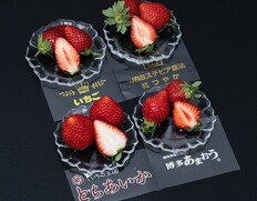 『旬のいちご4種食べ比べ』国産 計4パック（1パック 約250g） ※冷蔵