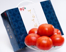 糖度9度以上『てるて姫（スーパーフルーツトマト）』茨城県産 約800g（6〜10玉）化粧箱 ※冷蔵