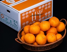 ご自宅用 バラ詰め『甘平（かんぺい）』愛媛県産 M〜5L 約5kg 産地箱 風袋込 ※常温 【愛媛フェア】