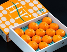 『甘平』愛媛県産 柑橘 秀 Lサイズ 約3kg（15玉）化粧箱 風袋込 ※常温【愛媛フェア】