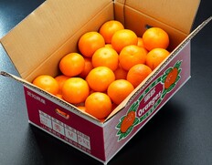 JA蒲郡市『あすみ』愛知県産 柑橘 S〜L 約5kg 産地箱 風袋込 ※常温