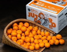 小玉『寿太郎みかん』静岡県産 秀 2S〜S 約5kg 産地箱 風袋込 ※常温