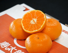 小玉『寿太郎みかん』静岡県産 秀 2S〜S 約3kg 産地箱 風袋込 ※常温