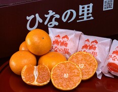 袋がけ 真穴みかん『ひなの里』愛媛県産 S〜L 約2.5kg 産地箱 風袋込 ※常温【愛媛フェア】