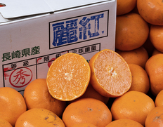 『麗紅』長崎県産柑橘 S〜L 約2.5kg×2箱 多少のスレ傷あり 産地箱 ※常温 JA長崎せいひ