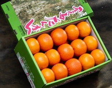 大玉『屋久島たんかん』鹿児島県産 柑橘 2L 約5kg 化粧箱 風袋込 ※常温