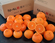 『せとか＆デコポンセット』ご自宅用 傷・スレあり品 計約4kg(各約2kg） 簡易箱※常温