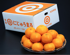『にじゅうまる』 佐賀県産柑橘 優〜秀 L〜4L 約5kg 産地箱 風袋込 ※常温
