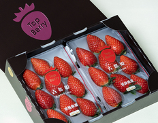 『古都姫』奈良県産いちご 約270g×2パック 産地箱 ※冷蔵 トップベリー