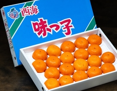 糖度13度以上『ハウス 味っ子みかん（早生種）』長崎県産 M〜L 約2.5kg（20〜25個）化粧箱 ※常温