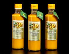 【定期購入】『シーベリー（サジー）100％果汁』　北海道産　希釈タイプ無糖　300ml×3本