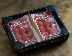 JAかみつが『とちあいか』栃木県産いちご 2パック（1パック 約250g）産地箱 ※冷蔵