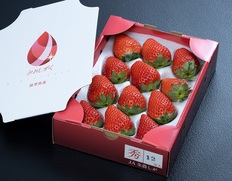 『みおしずく』滋賀県産いちご 秀品 約450g（12〜15粒）化粧箱 ※冷蔵