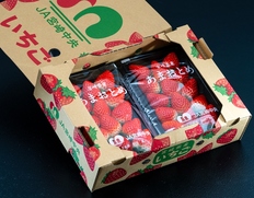 『あまおとめ』宮崎県産いちご 2パック（1パック：約250g）産地箱 風袋込 ※冷蔵
