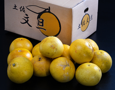 戸波選果場 ご自宅用『土佐文旦』高知県産 柑橘 L〜5L 約5kg 産地箱 風袋込 キズ・スレ等あり ※常温