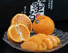 糖度13.5度以上『蜜るの完熟デコポン』愛媛県産 特秀 L〜4L 約5kg（15〜24玉）産地箱 風袋込 JAにしうわ ※常温【愛媛フェア】