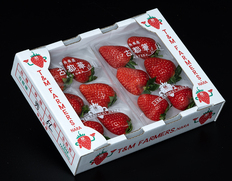 大粒『古都華』奈良県産いちご 秀 3〜5L 2パック（1パック 約250g 6〜9粒）産地箱 風袋込 ※冷蔵