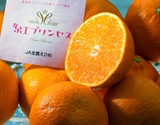 新品種『紅プリンセス（品種：はるあいか）』愛媛県産 柑橘 M〜4L 約2.4kg 簡易箱 ※常温【愛媛フェア】