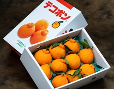 『葉付き 完熟デコポン』大分県産 柑橘 秀 約3kg（7〜12玉）化粧箱 風袋込 ※常温