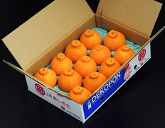 大玉『デコポン』熊本県産 優品 4〜5L 約5kg（12〜15玉）産地箱 風袋込 ※常温