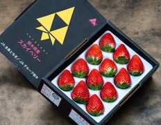 大粒『スカイベリー』栃木県産いちご SE・SG 2箱（1箱 計約450g 8〜12粒）化粧箱 ※冷蔵