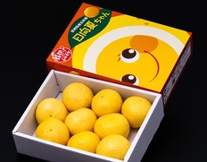 大玉『日向夏』宮崎県産 柑橘 4〜5L 約2.5kg(9〜10玉) 化粧箱 風袋込 ※常温