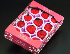 大粒『古都華 エクセレント』奈良県産いちご 約650g（12〜15粒）産地箱 ※冷蔵
