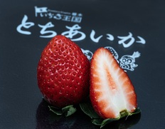 JAかみつが『とちあいか』栃木県産いちご 4パック（1パック 約250g）産地箱 ※冷蔵