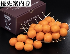 【優先案内券】『山口柑橘園のクレメンティン』 佐賀県産  約2kg　2025年11月予定