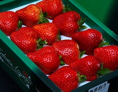 最上位等級『博多あまおう』福岡県産いちご エクセレント（EX）2箱（1箱 約450g 9〜15粒）化粧箱 ※冷蔵