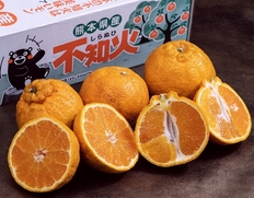 【2箱】『しらぬひ』 熊本県産　約1.5kg×2箱　合計約3kg（1箱：5〜6玉）※常温