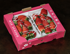 『うた乃』三重県産いちご 秀〜特秀品 約250g×2パック 産地箱 ※冷蔵