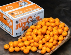 小玉『寿太郎みかん』静岡県産 秀 2S〜S 約10kg 産地箱 風袋込 ※常温