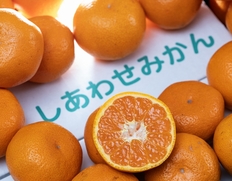 西田秀基さんの 『完熟みかん＋レモン1個』 山口県周防大島産　約3kg　S〜Lサイズ（目安26〜35個） ※レモン1個入　しあわせみかん　※常温