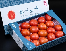 糖度9度以上『てるて姫（スーパーフルーツトマト）』茨城県産 約3kg（14〜20玉）産地箱 ※冷蔵