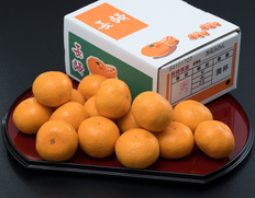 『冷温貯蔵みかん（青島）』長崎県産 秀品 L〜2L 約5kg 産地箱 風袋込 ※常温