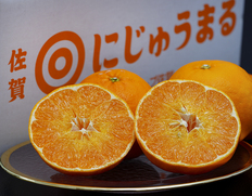 『にじゅうまる』 佐賀県産柑橘 優〜秀 L〜4L 約2.4kg 簡易箱 ※常温