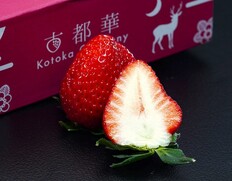 『古都華』奈良県産いちご 2〜3L 2パック（1パック：約250g）産地箱 風袋込 ※冷蔵