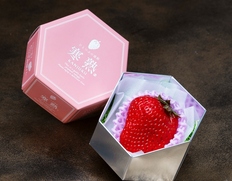 ファームトヨヒロ『超大粒 寒熟いちご（品種：紅ほっぺ）』愛知県産 2粒（1粒：50〜70g）※冷蔵