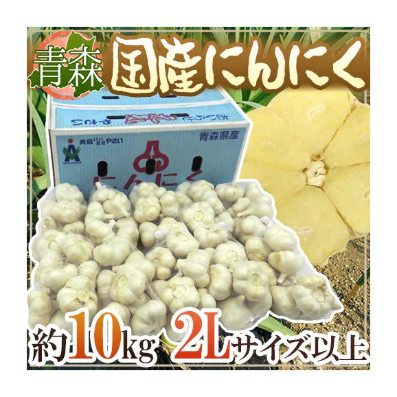 【送料無料】青森県 ”国産にんにく” 約10kg 等級A/B 大きさおまかせ 大粒六片種にんにく♪青森にんにく♪中国産とはレベルが違う！ホワイト六片/青森産/ニンニク/大蒜/葫