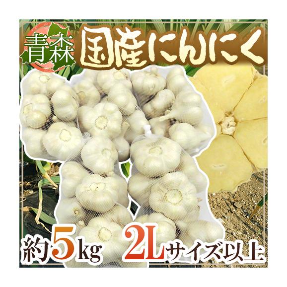 【送料無料】青森県 ”国産にんにく” 約5kg 等級A/B 2Lサイズ以上