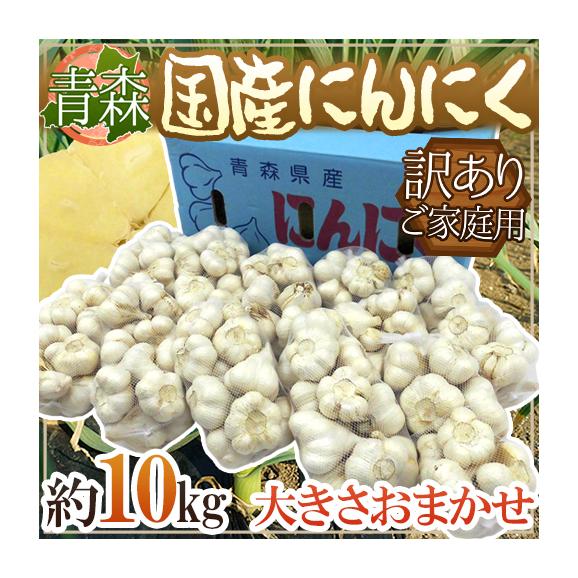 【送料無料】青森県 訳あり ”国産にんにく” 約10kg 大きさおまかせ